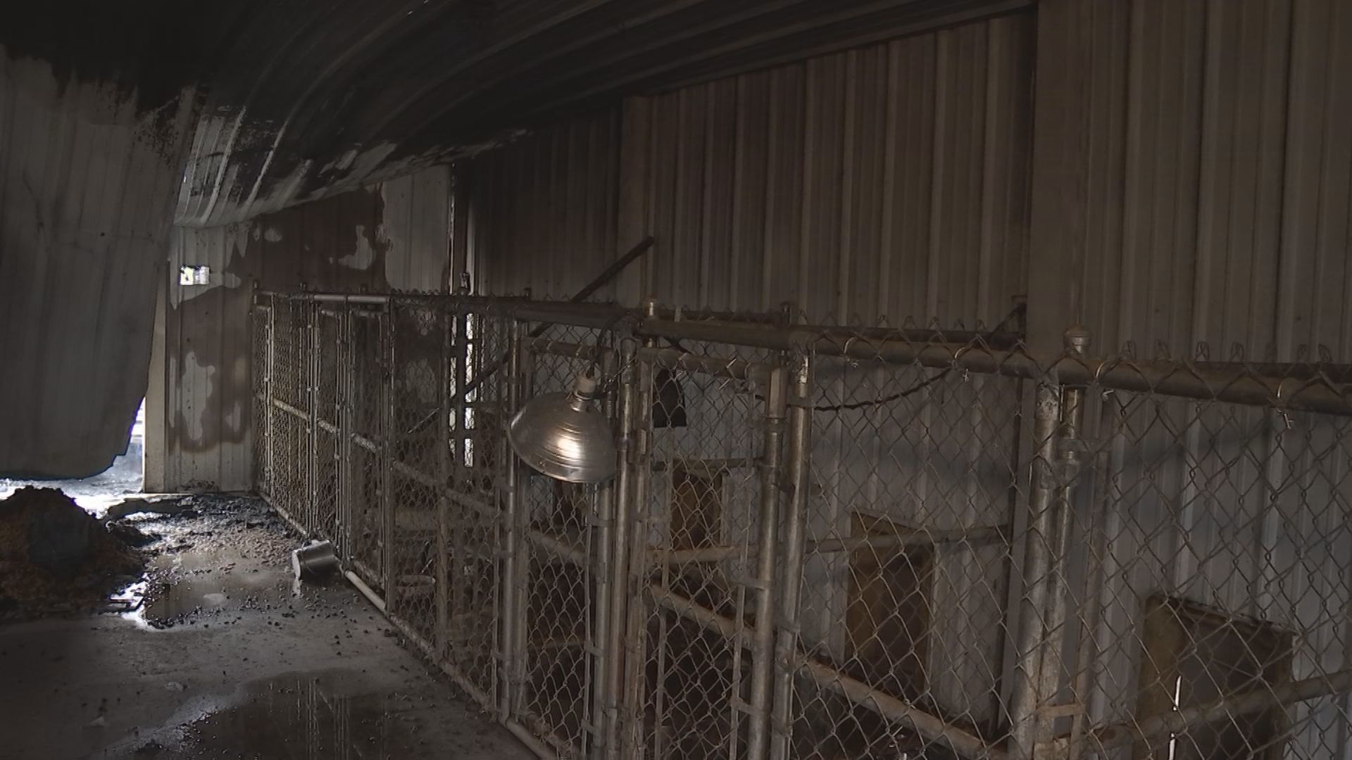 Dog kennel inside fire damage